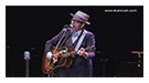 elvis_costello